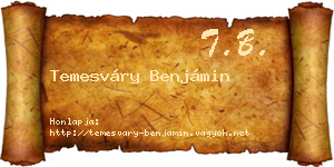 Temesváry Benjámin névjegykártya