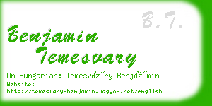 benjamin temesvary business card